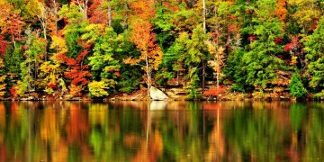 Shawnee State Forest by Christina Binder