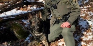 K9 officer tracks down suspected murder weapon in Pike Co