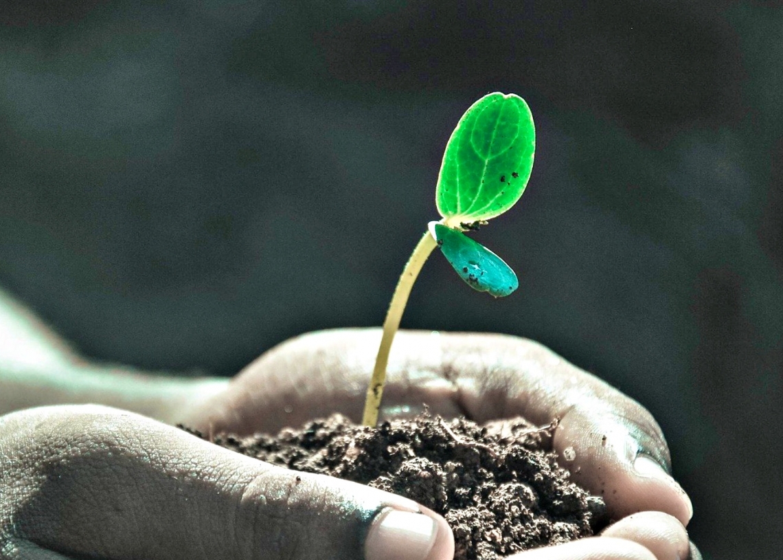 SCDN offers life-changing scholarships for adults