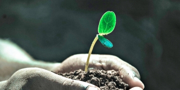 SCDN offers life-changing scholarships for adults