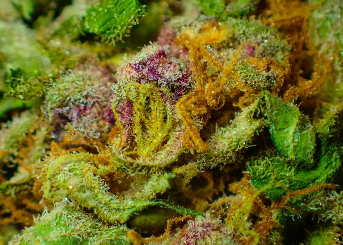 Ohio Recreational Marijuana