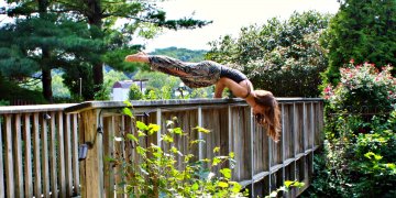 The Yoga Covid-19 Trauma Survival Guide