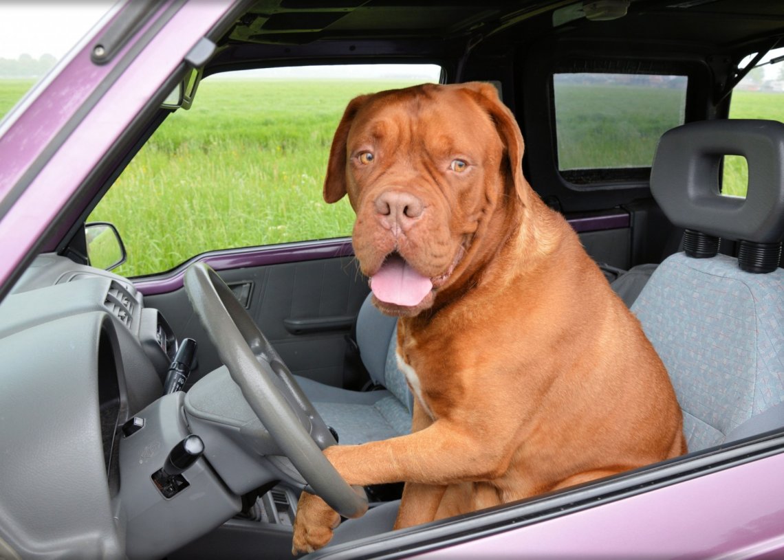 Cruising Allowed by Portsmouth Police Department