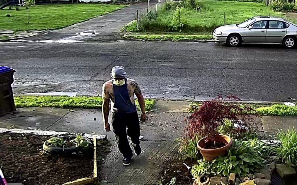 porch pirate