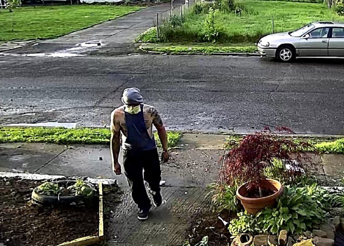 porch pirate