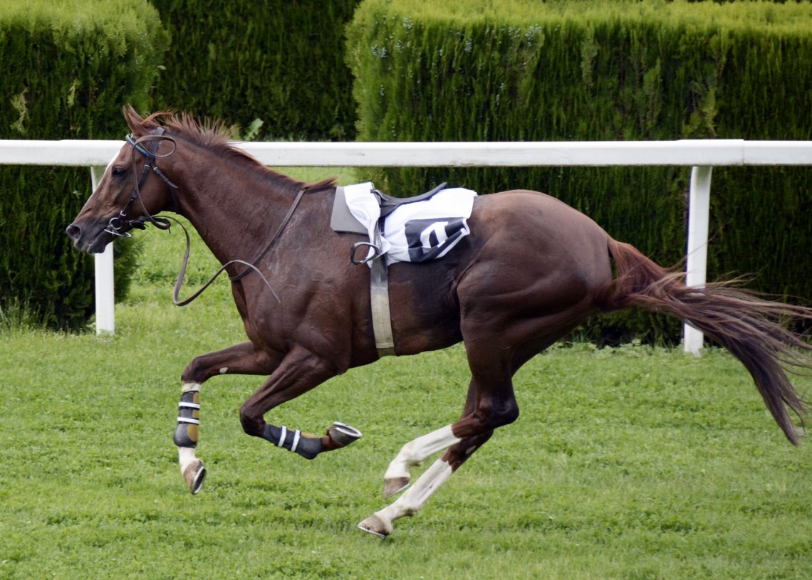 EXCLUSIVE Election Breaking Updates