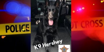 K9 Hershey