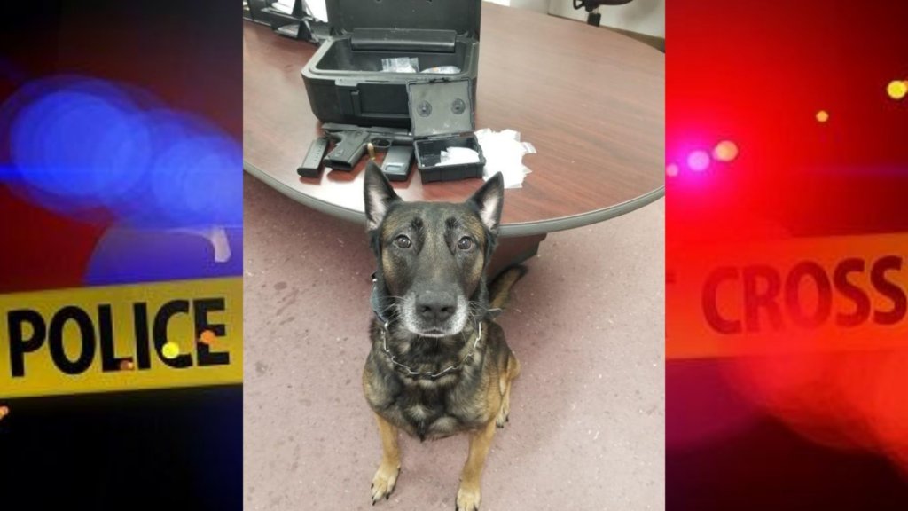 Ohio K9 officer meth