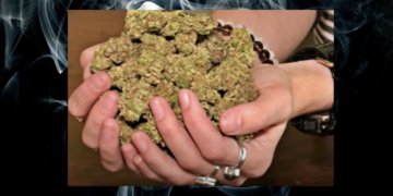 Source: Rafferty Baker / CBC News (30 Grams)