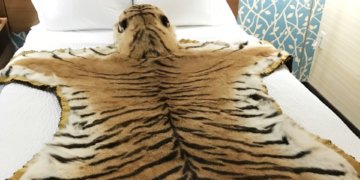 tiger-skin