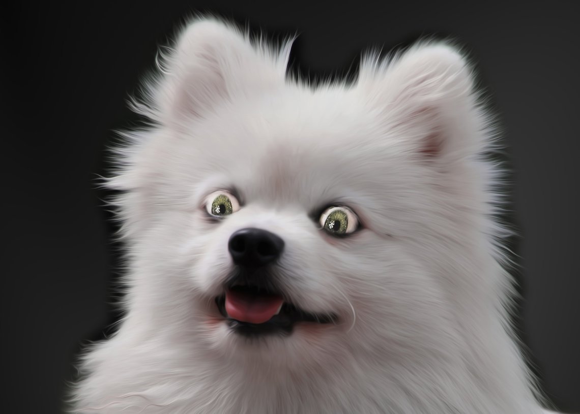 Portsmouth Police weird crime