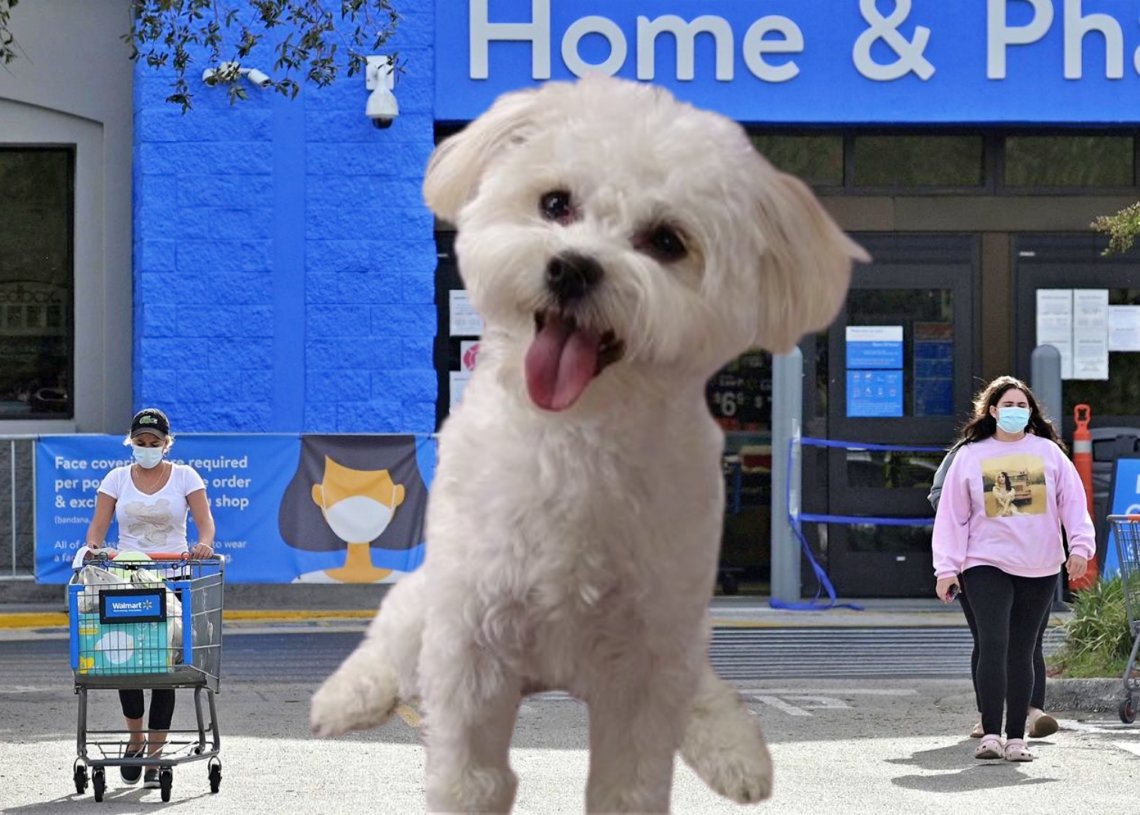 Walmart pet care services