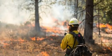 The Gear a Wildland Firefighter Needs
