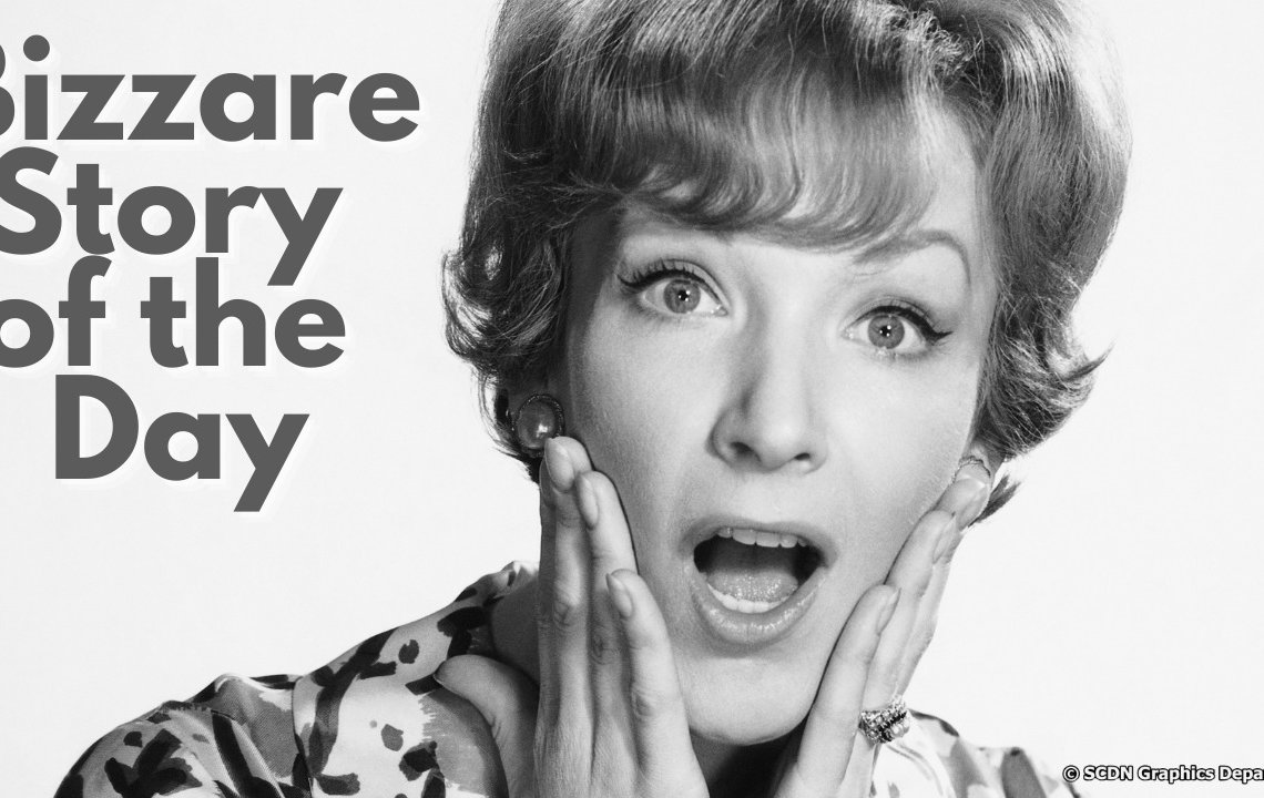 Ohio Man spends 13 Hours in a Tree to Avoid Police