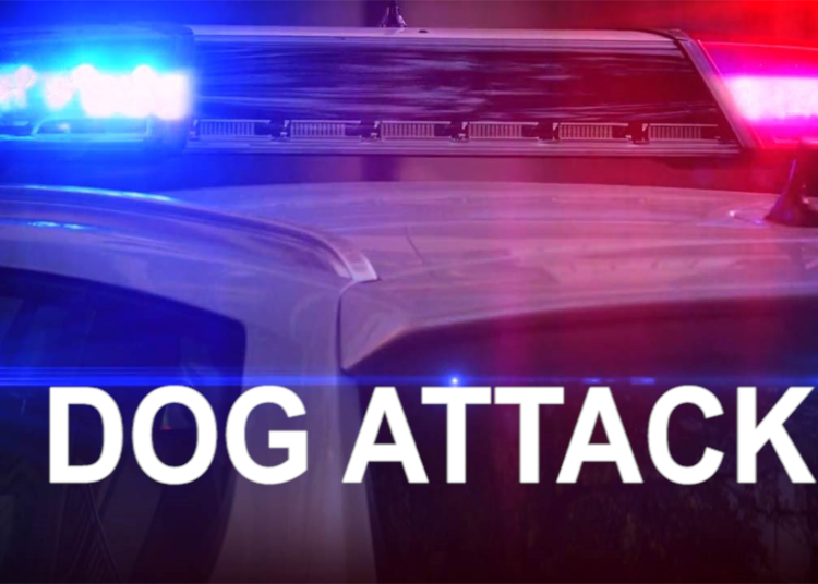 Dog Attacks and Kills Smaller Dog: Portsmouth Police Reports