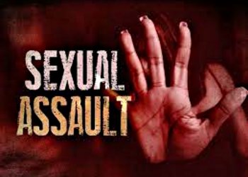 Mentally Disabled Woman Reports Sex Assault