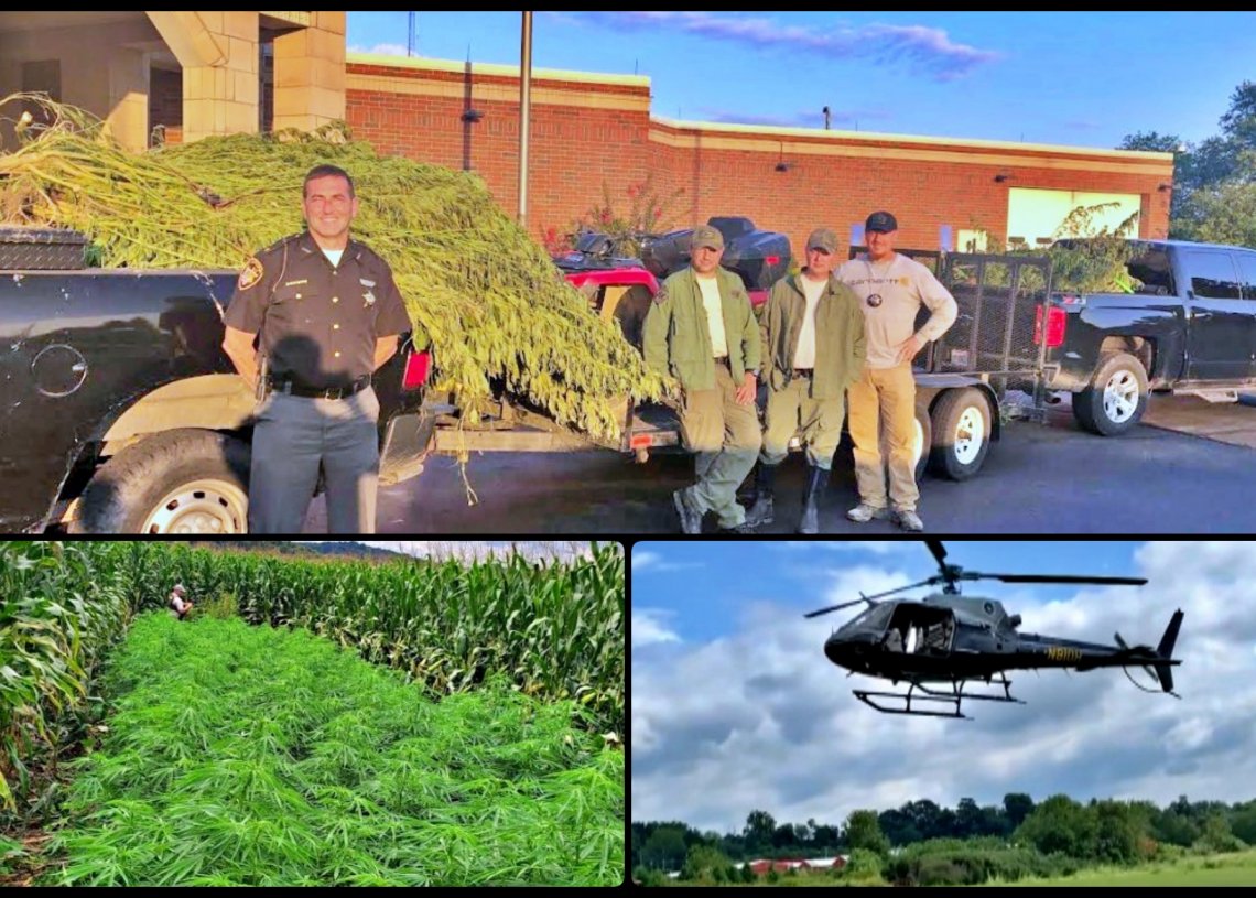 Scioto County Marijuana Eradication Operation