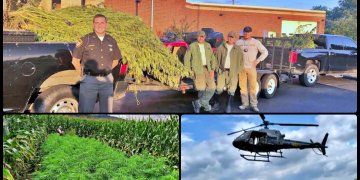Scioto County Marijuana Eradication Operation
