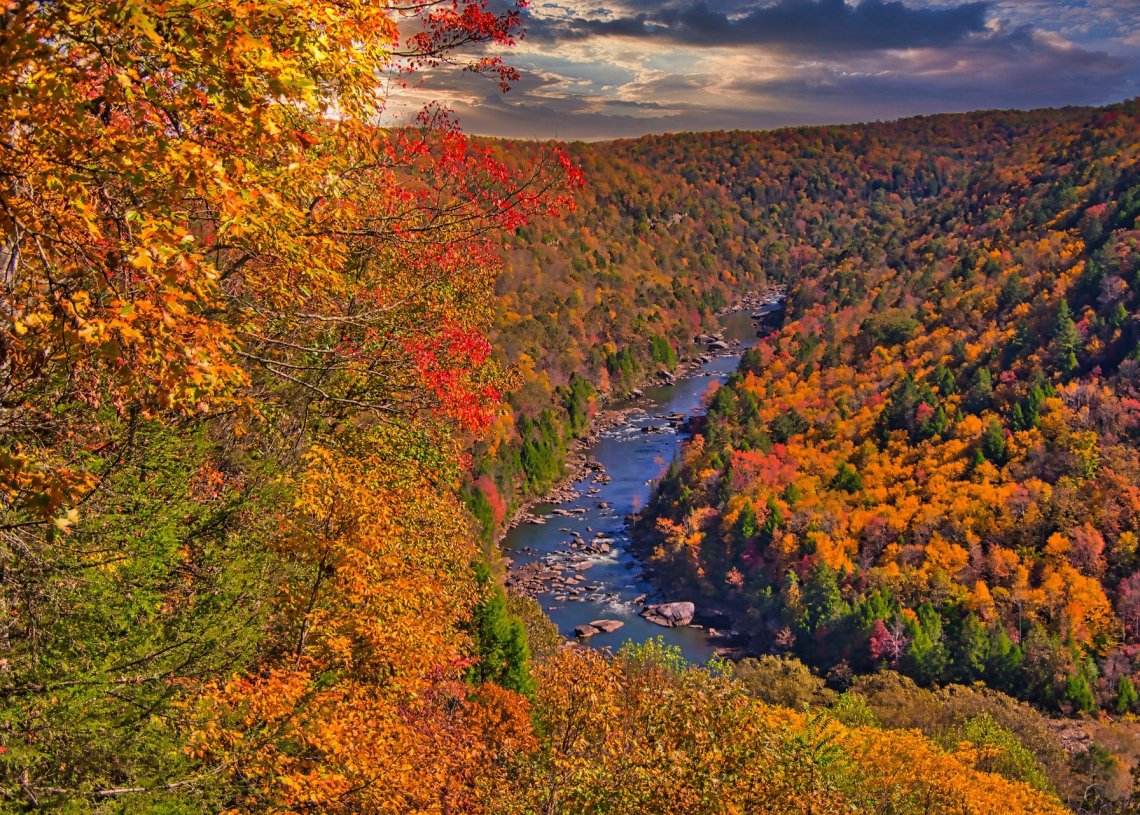 West Virginia Pays Remote Workers Big Bucks To Move to the Mountain State