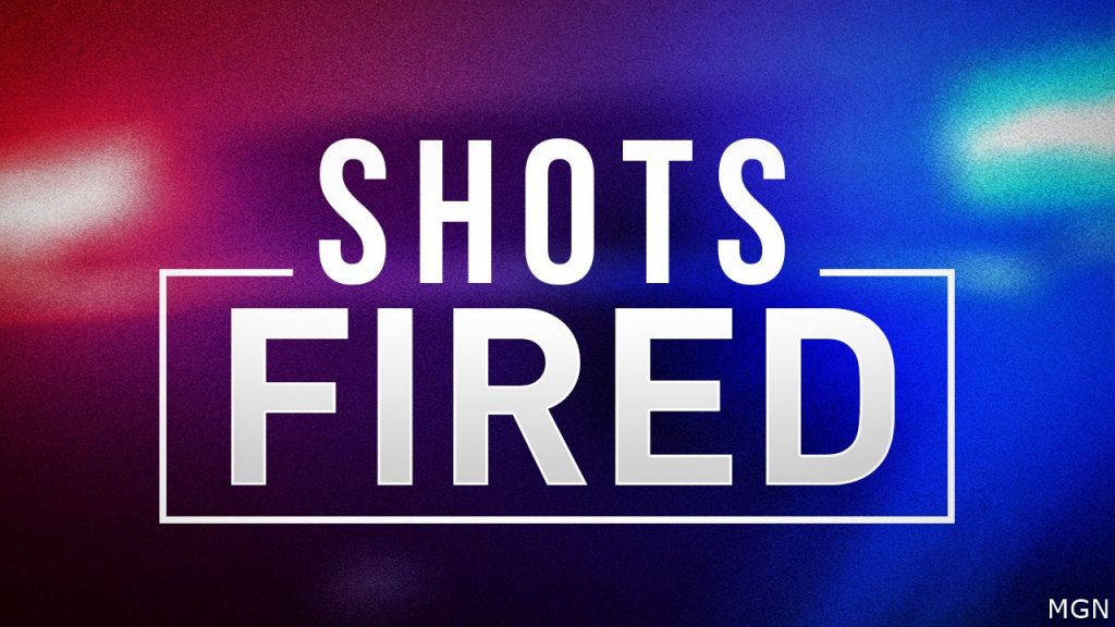 Police Respond To Shots Overnight