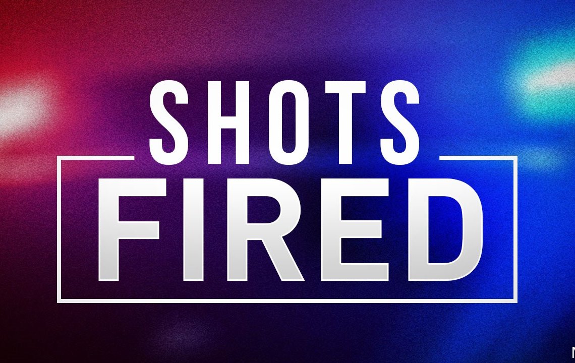 Police Respond To Shots Overnight