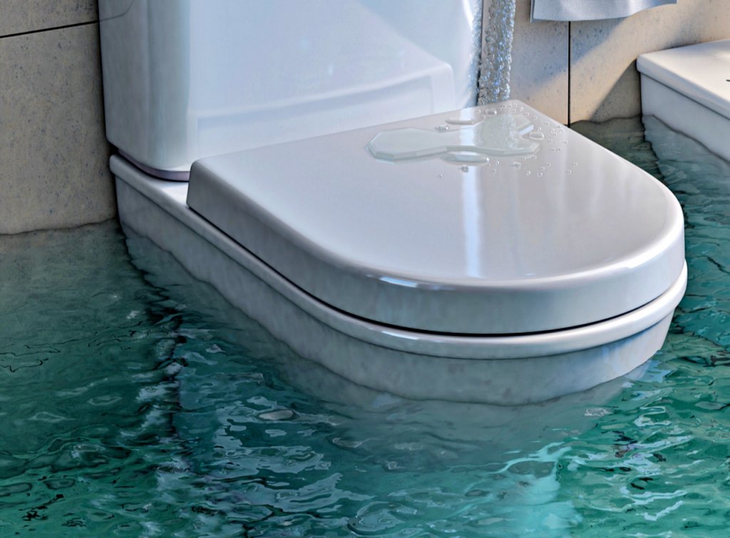 Woman Calls Police For Overflowing Toilet