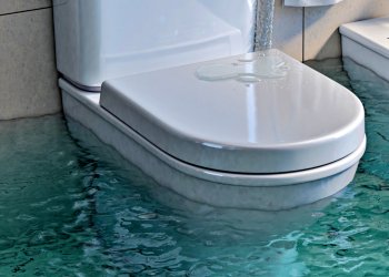 Woman Calls Police For Overflowing Toilet