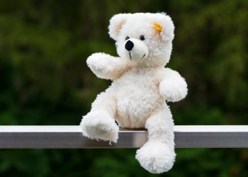 Police Called Homeless Shelter To Resolve Teddy Bear Dispute