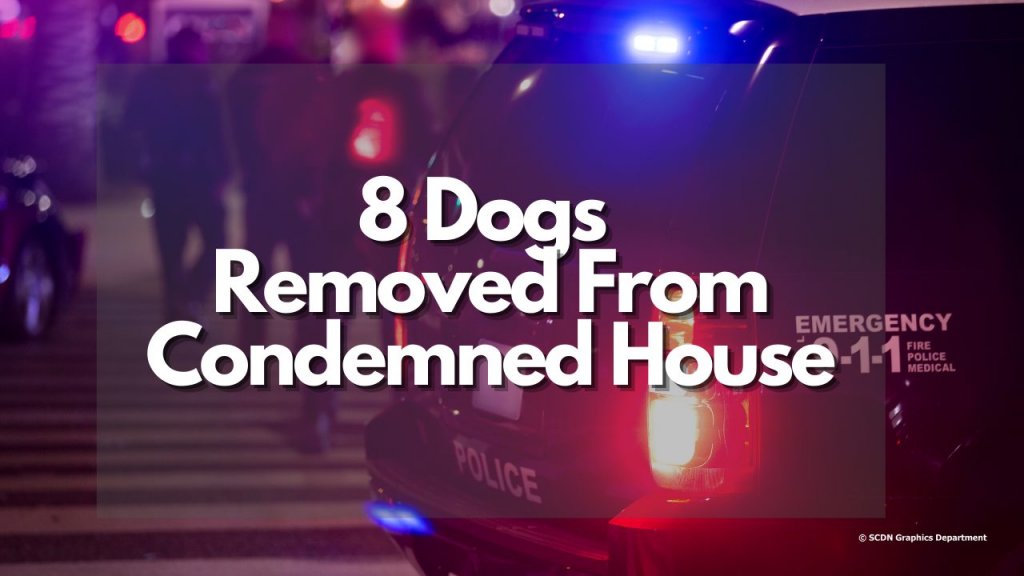 8 Dogs Removed From Condemned House
