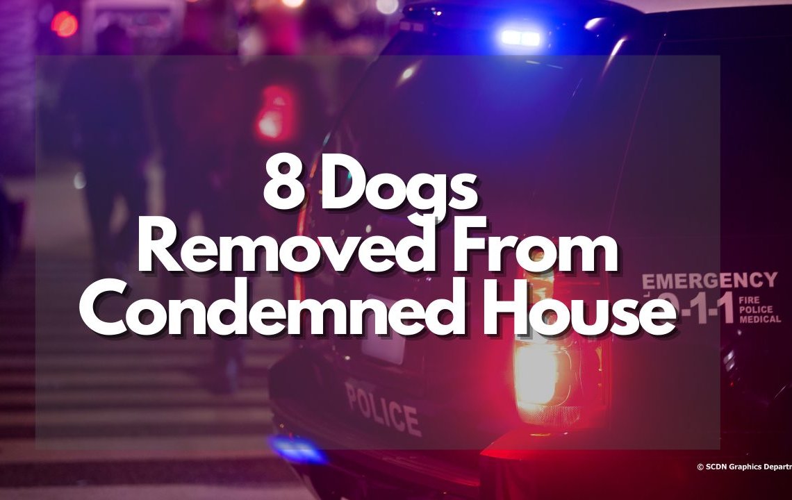 8 Dogs Removed From Condemned House