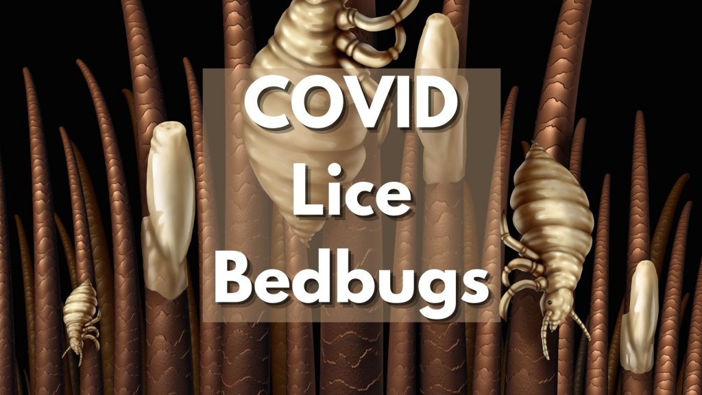 COVID, Lice & Bedbugs