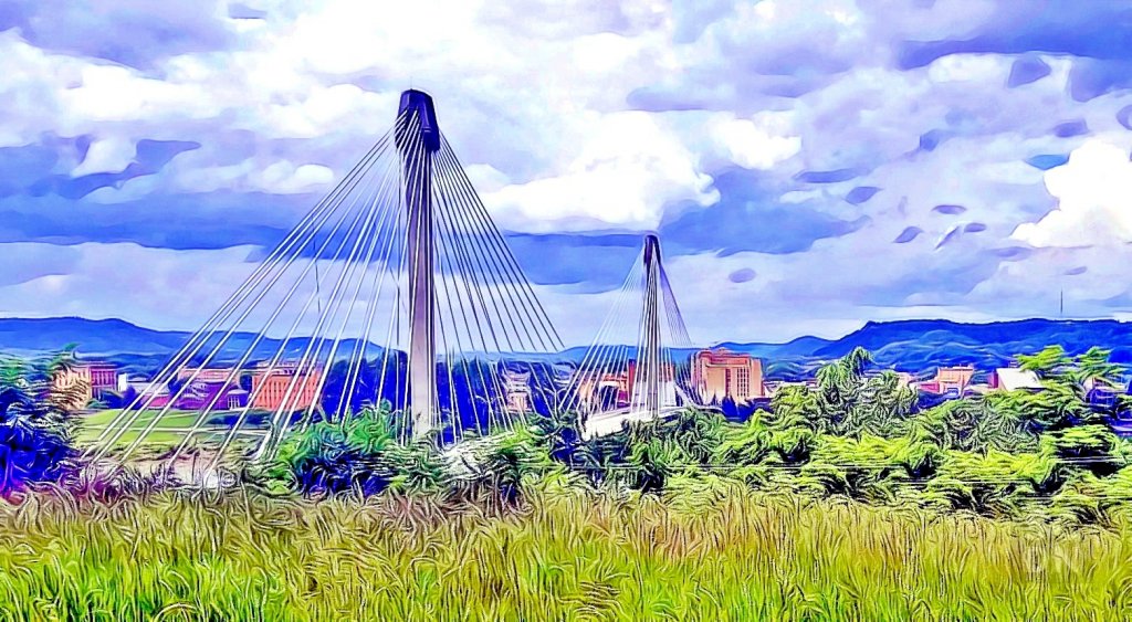 Teen Causes Panic on Grant Bridge