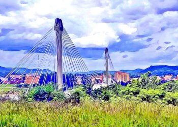 Teen Causes Panic on Grant Bridge