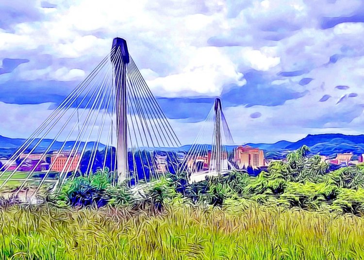 Teen Causes Panic on Grant Bridge
