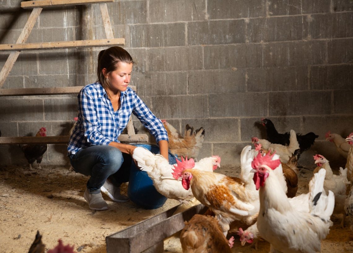 Backyard Hobbies: What You Should Pick Up This Spring