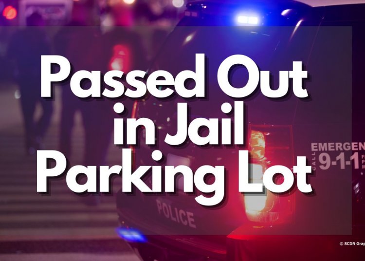 Woman Busted After Passing Out in Jail Parking Lot