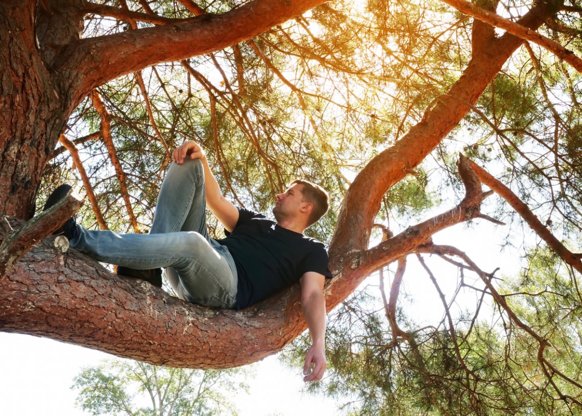 Troubled Man Flees Up Tree on Twin Creek Road