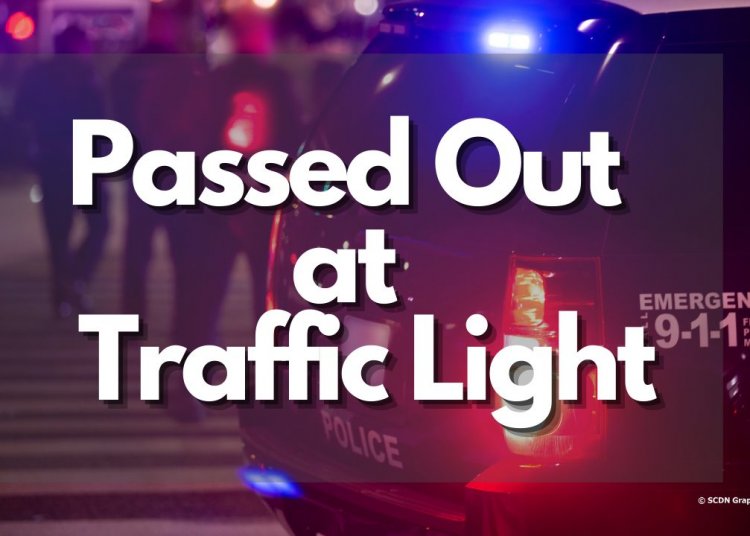Pair Passes Out at 8th Street Traffic Light