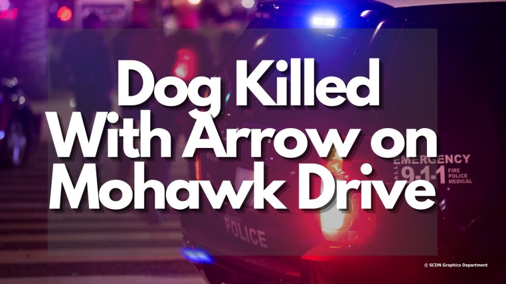 Dog Killed With Arrow on Mohawk Drive