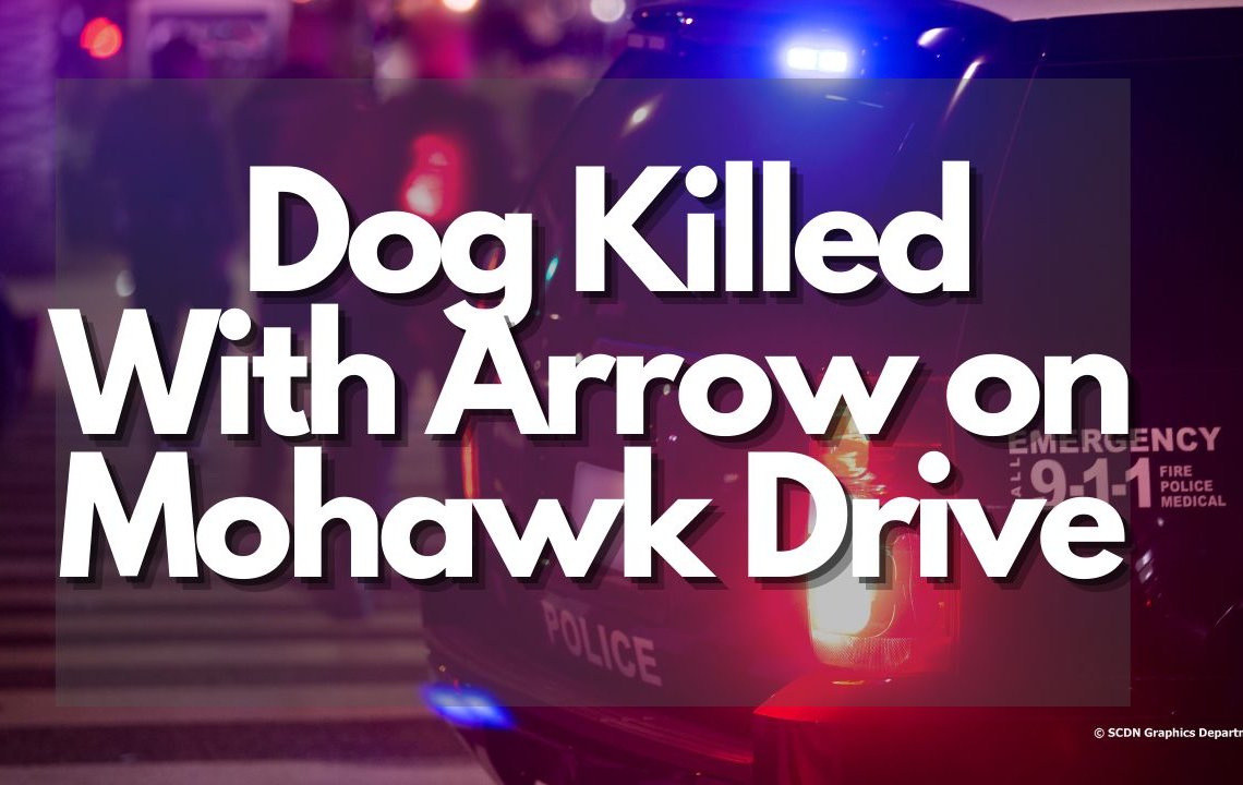 Dog Killed With Arrow on Mohawk Drive