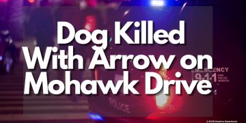 Dog Killed With Arrow on Mohawk Drive