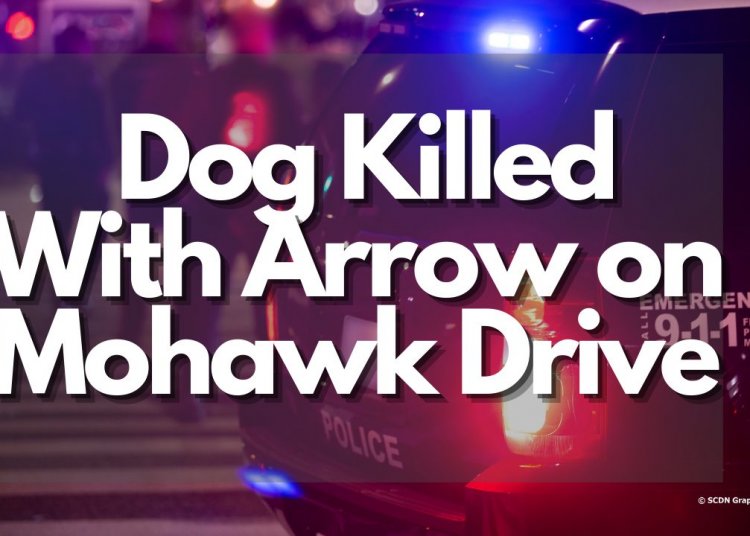 Dog Killed With Arrow on Mohawk Drive