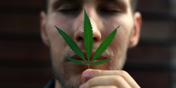 Neighbor Sniffs Out Weed on Sterling Avenue