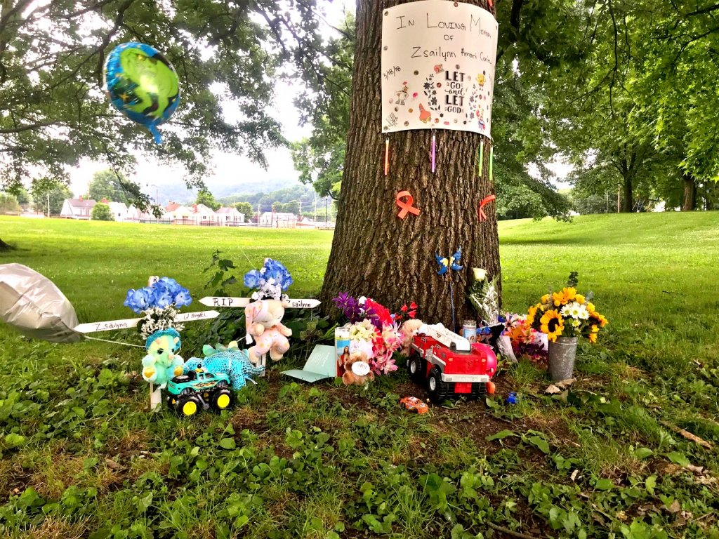Community Mourns the Loss of Child Due to Gun Violence