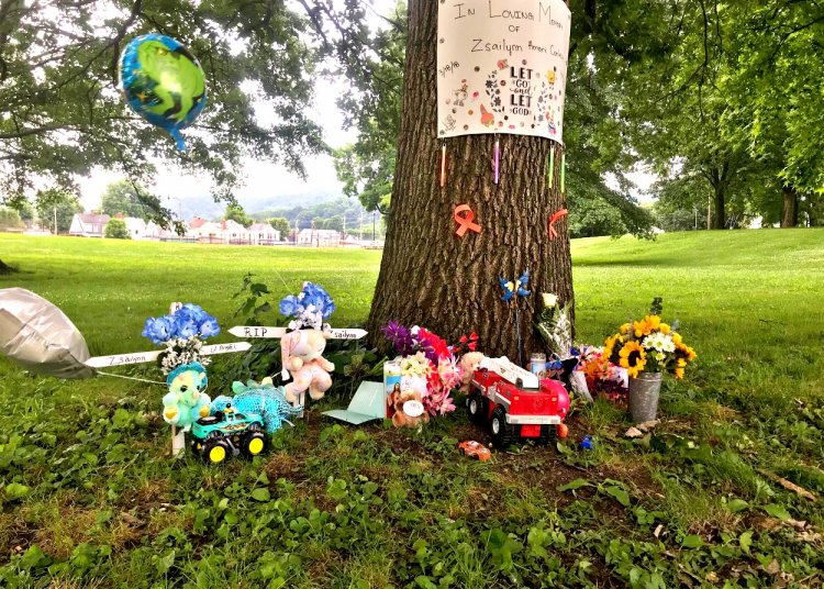 Community Mourns the Loss of Child Due to Gun Violence