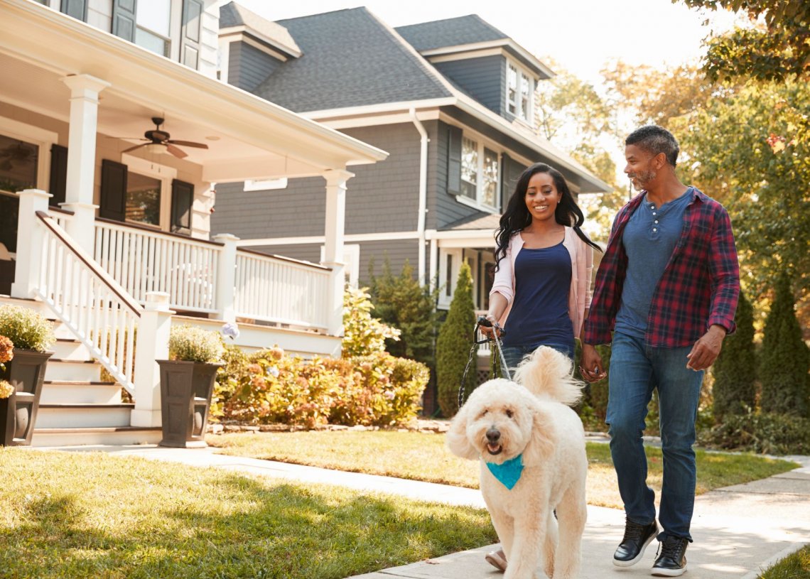 Ways Community Members Can Build a Pet-Friendly Town