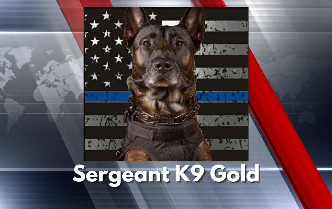 Sergeant K9 Gold of Waverly Police