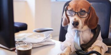 dog News