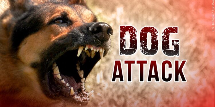 Dog Traps Man Inside RV