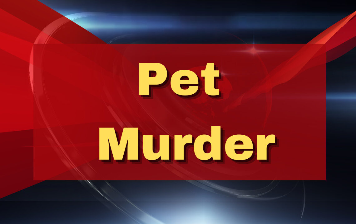 Pet Murder